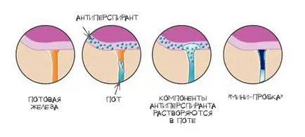 Dezodorok, izzadásgátlók vs