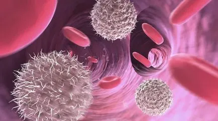 Természetes aktív immunitást és annak kialakulását (immunitás) Természetes aktív immunitást és annak kialakulását