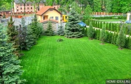 Lawn az ország saját kezűleg
