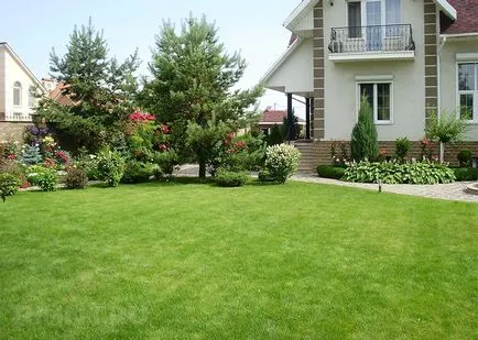 Lawn az országban, hogyan lehet a zöld gyep, saját kezével