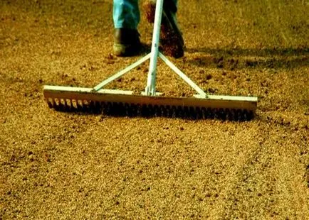 Lawn saját kezével az országban, hogyan kell csinálni, tegye, utasítások, fotók