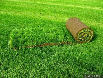 Lawn az ország saját kezűleg
