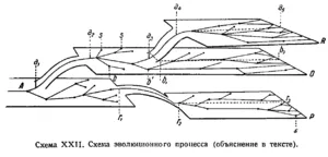 idioadaptation Wikipedia