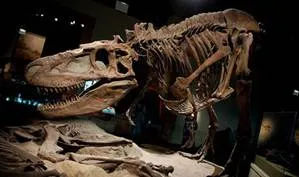 A kutatómunka „amikor a dinoszauruszok éltek,” tartalom platform