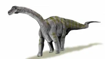 A kutatómunka „amikor a dinoszauruszok éltek,” tartalom platform