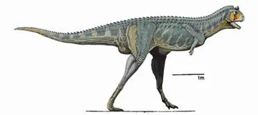 A kutatómunka „amikor a dinoszauruszok éltek,” tartalom platform