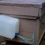 Így madár etetők méheknek saját kezűleg
