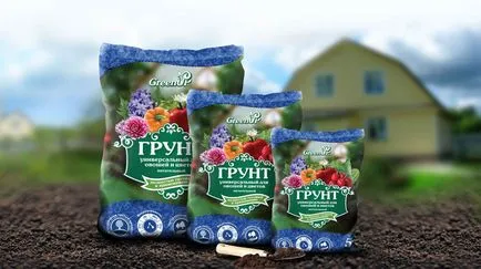 Virág növekvő az erkélyen