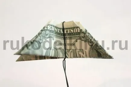 Pénz fa kezüket vágások