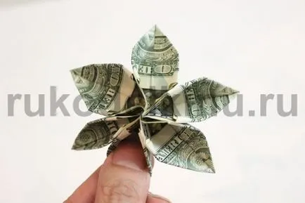 Pénz fa kezüket vágások