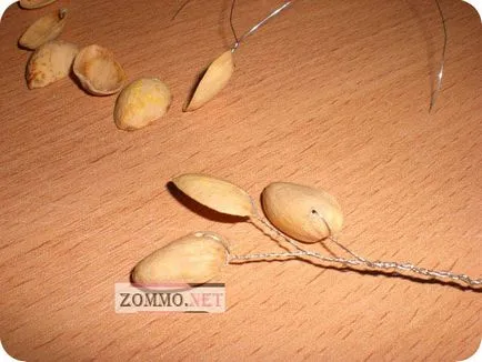 Pénz fa kezüket vágások