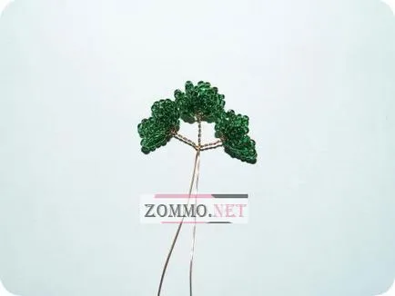 Pénz fa kezüket vágások
