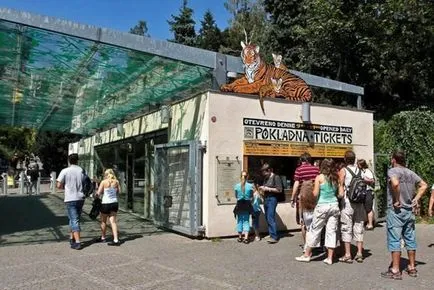 Hogyan lehet eljutni a moszkvai állatkertben (hozzáférést biztosít a főváros állatkertje) Hogyan lehet eljutni a moszkvai állatkertben