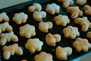 Hogyan kell sütni egy gyors cookie-kat otthon - a legegyszerűbb recept