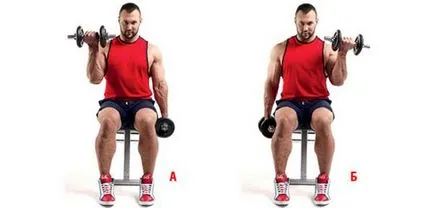 Hogyan lehet letölteni bicepsz otthon férfi