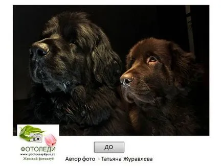 Hogyan készítsünk egy fotót a rajz ceruza fotoledi (do) Hogyan készítsünk egy fotót a rajz ceruzával fotoledi