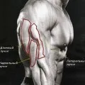 Hogyan építsünk vékony egy személy, vagy akik ectomorphs kalap, Bodyfit
