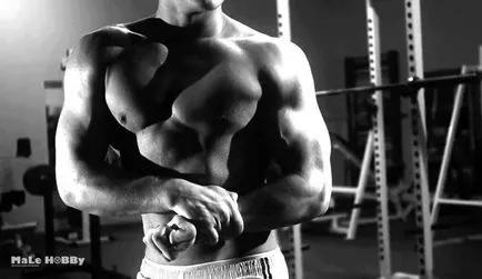 Hogyan építsünk brachialis súlyokat a bárban, a testmozgás brachialis