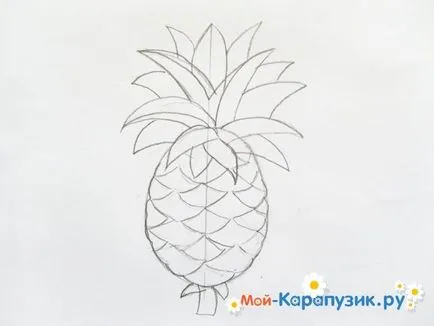 Hogyan kell felhívni szakaszában ceruza ananász (ananász) Hogyan kell felhívni a ceruzát ananász szakaszaiban