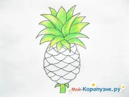 Hogyan kell felhívni a ceruzát ananász szakaszában (sorsolás) Hogyan kell felhívni a ceruzát ananász szakaszaiban