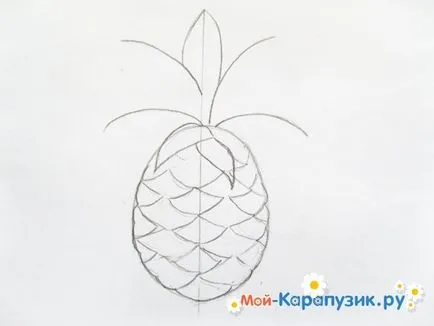 Hogyan kell felhívni a ceruzát ananász szakaszában (sorsolás) Hogyan kell felhívni a ceruzát ananász szakaszaiban