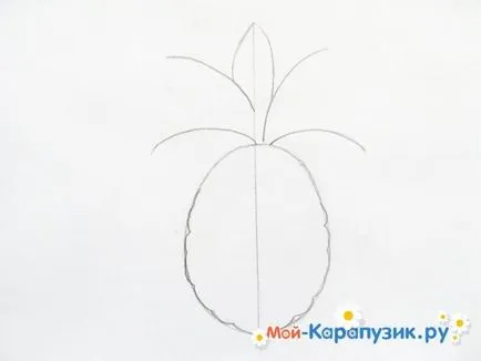 Hogyan kell felhívni a ceruzát ananász szakaszában (sorsolás) Hogyan kell felhívni a ceruzát ananász szakaszaiban