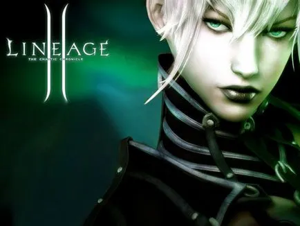 Hogyan elkezd játszani Lineage 2 (online játék) Hogyan elkezd játszani Lineage 2