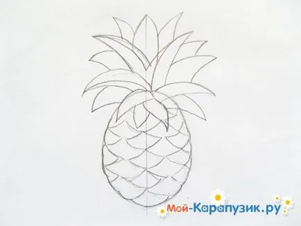 Hogyan kell felhívni a ceruzát ananász szakaszában (sorsolás) Hogyan kell felhívni a ceruzát ananász szakaszaiban