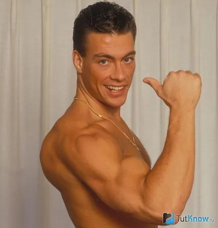 Hogyan építsünk brachialis és növeli bicepsz