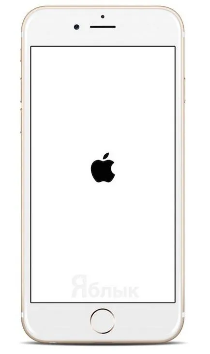Hogyan hozzunk létre egy új (out of the box) iphone 6 és 6 plus, iphone hírek, iPad és a Mac (ifaq) Hogyan hozzunk létre egy új (out of the box) iphone 6 és 6 plus, iphone hírek, iPad és a Mac