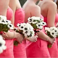 Hogyan ruha a násznép