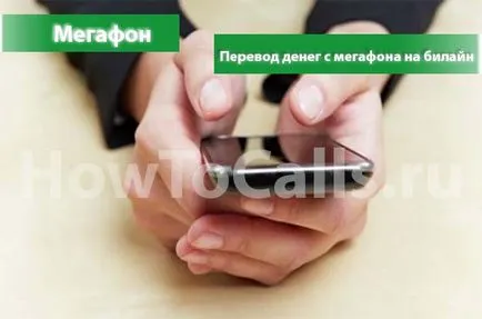Hogyan lehet pénzt egy hangszóró a Beeline - a fordítási útmutató
