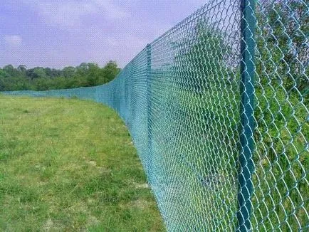 Hogyan fessünk Rabitz oktatás festés kezét, és fotó - egy könnyű dolog