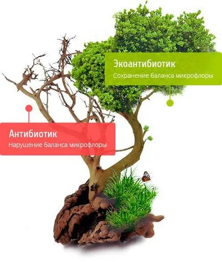 Mi ekoantibiotiki Mi ekoantibiotiki