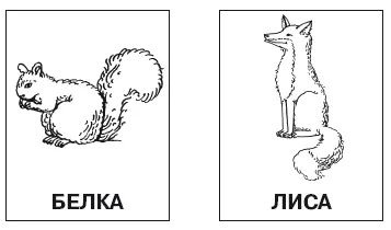 Hogyan mutatja a kártya helyes