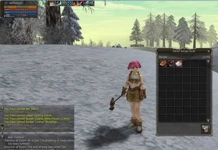 Hogyan kezd el a játékot, és sikeres legyen a Lineage 2 (Lineage 2 a játék kezdetén) Hogyan kezd el a játékot, és sikeresen léteznek Lineage 2