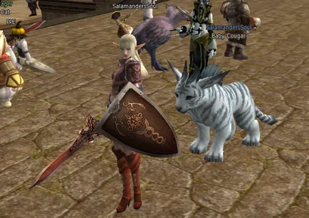 Hogyan kezd el a játékot, és sikeres legyen a Lineage 2 (sikerrel) Hogyan kezd el a játékot, és sikeresen léteznek Lineage 2