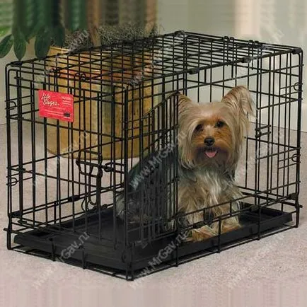 Hogyan válasszuk ki a megfelelő kutyát ketrec online pet shop Mr. wow