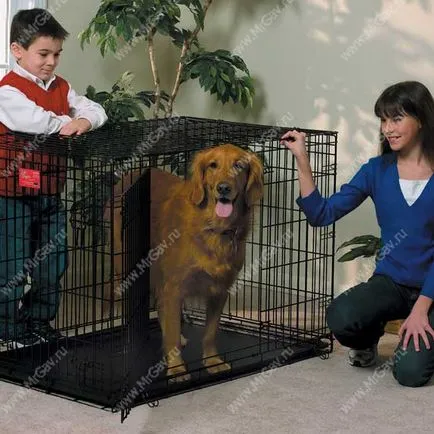 Hogyan válasszuk ki a megfelelő kutyát ketrec online pet shop Mr. wow