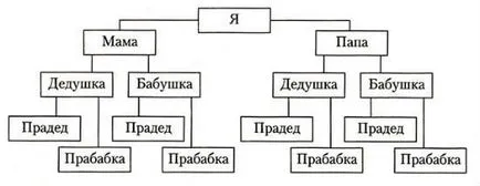 Hogyan készítsünk egy családfát a kezüket (genealógiai) Hogyan készítsünk egy családfát a kezével
