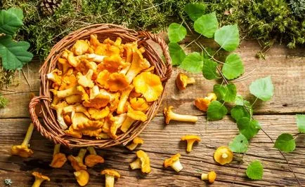Hogyan tartsuk friss gomba télen, pácolt, főtt, egy nappal azután, gyűjtemény, más módon (gomba) Hogyan tartsuk friss gomba télen, pácolt, főtt, egy nappal azután, gyűjtése, más módon