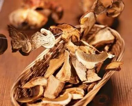 Hogyan tartsuk friss gomba télen, pácolt, főtt, egy nappal azután, gyűjtemény, más módon (gomba) Hogyan tartsuk friss gomba télen, pácolt, főtt, egy nappal azután, gyűjtése, más módon
