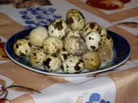 Hogyan lehet részt venni az építési és közbeszerzési pályázatok, és hogy
