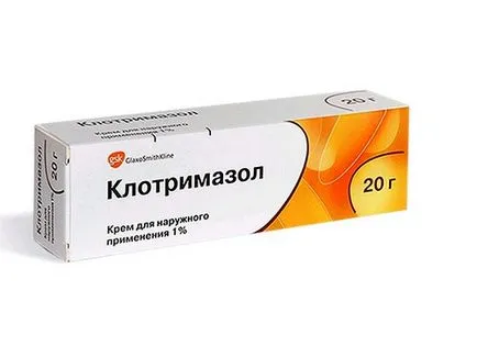 Hogyan működik egy gomba