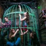 Hogyan gondoskodik a disco house válasz itt (isteni pár tegye a szélei) Hogyan gondoskodik a disco house válasz itt