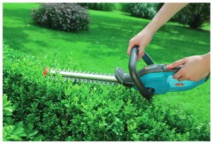 Hogyan törődik a fák a kertben egy fotó és videó a fogadó probléma (hogyan kell gondoskodni a kerti fák) Hogyan törődik a fák a kertben egy fotó és videó, fogadó vikendházak