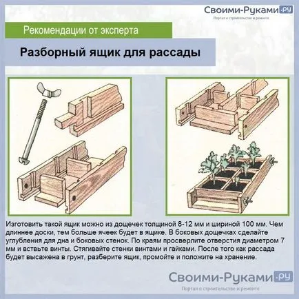 Hogyan növekszik paradicsom üvegházi - lépésről lépésre! (Grow üvegházi paradicsom) Hogyan növekszik paradicsom üvegházi - lépésről lépésre!