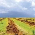 Hogyan lehet pénzt keresni a faluban -, mit kell tennie, hogy keresni