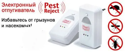 Csepp füllkullancsoktól macskák - leírása, az alkalmazás módját (csepp) Cseppek a fül atkák macskák - leírása, alkalmazási módszereit