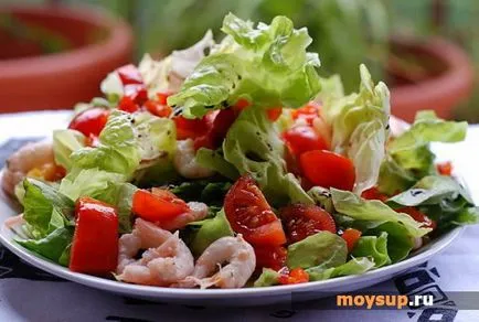 Caprese - egy fantasztikus saláta paradicsommal, zöld bazsalikom és pályázati mozzarella (mozzarella) Caprese - egy fantasztikus saláta paradicsommal, zöld bazsalikom és pályázati mozzarella